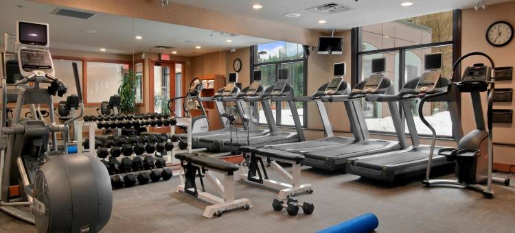 希尔顿惠斯勒度假村和温泉中心(Hilton Whistler Resort & Spa)图片