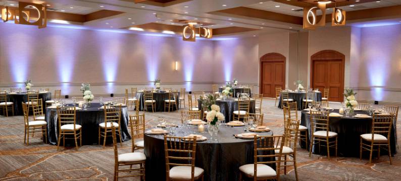 芝加哥西南布尔里奇万豪酒店(Chicago Marriott Southwest at Burr Ridge)图片