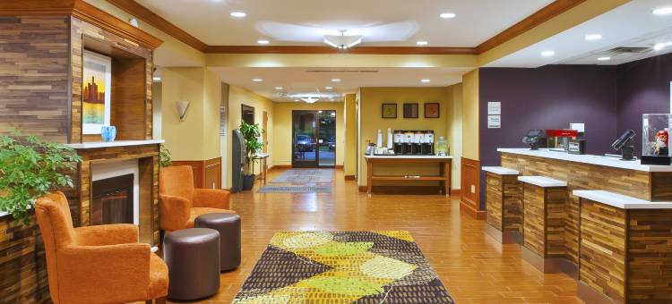 希尔顿欢朋酒店-底特律诺维(Hampton Inn by Hilton Commerce Novi)图片