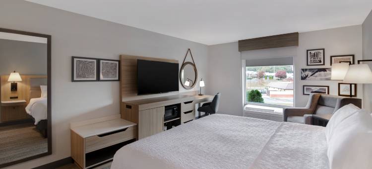 希尔顿欢朋酒店-伊斯里(Hampton Inn Easley)图片