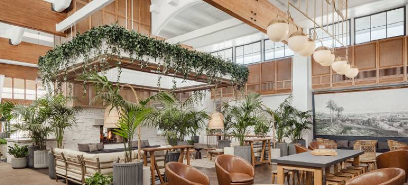 史考特水疗度假村(The Scott Resort & Spa)图片