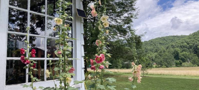 Historic Cabin-Close to I-77, Antiques/Wi fi, Great Bath, a Visit 'Back in Time'图片