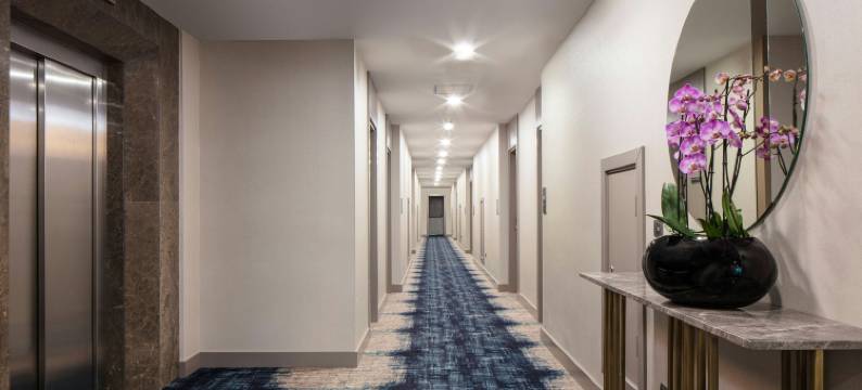 伊斯坦布尔卡厄特哈内万豪德尔塔酒店(Delta Hotels Istanbul Kagithane)图片