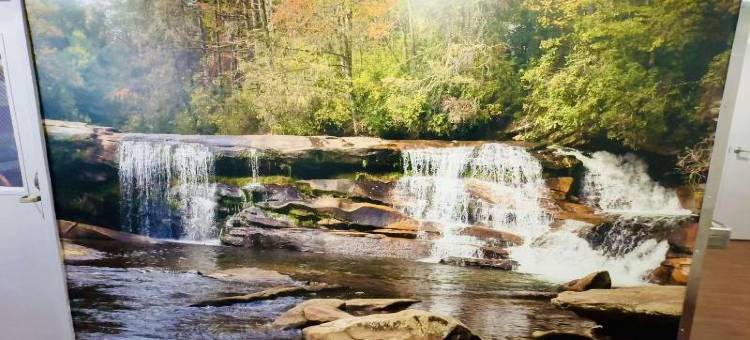 克拉丽奥波因特阿尔贝马尔(Clarion Pointe Albemarle)图片