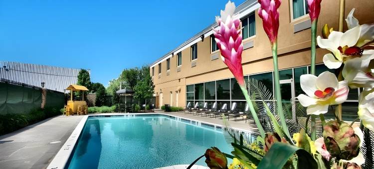 Holiday Inn Express 巴尔的摩的AT体育场(Holiday Inn Express Baltimore at the Stadiums)图片