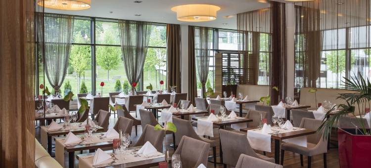 莱奥本酒店及亚洲水疗(Asia Hotel & Spa Leoben)图片