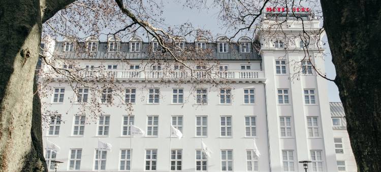 凯亚博格酒店(Hotel Borg by Keahotels)图片