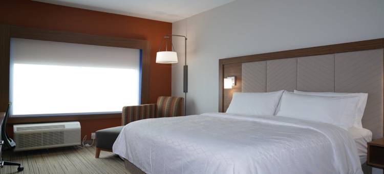 达拉斯市场中心爱田智选假日套房酒店(Holiday Inn Express & Suites Dallas Market Ctr - Love Field)图片