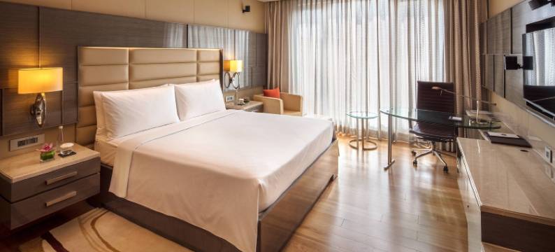 孟买萨哈尔 JW 万豪酒店(JW Marriott Mumbai Sahar Airport)图片