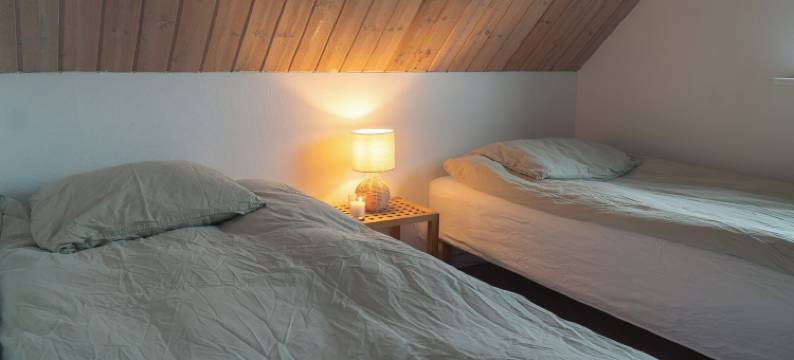 诺亚方舟民宿(Noah's Ark)图片