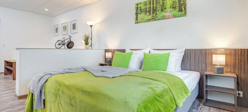 穆尔豪森城市酒店(Hotel Stadt Mühlhausen)图片