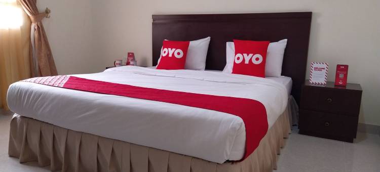 超级 OYO 107 艾尔林出租公寓酒店(Super OYO 107 Al Areen Hotel Apartments)图片