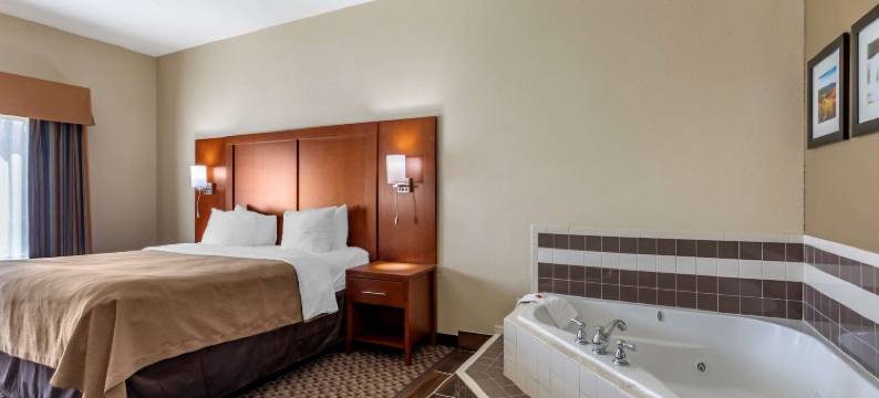 卡尔德本大学区舒适套房酒店(Comfort Inn & Suites Carbondale University Area)图片