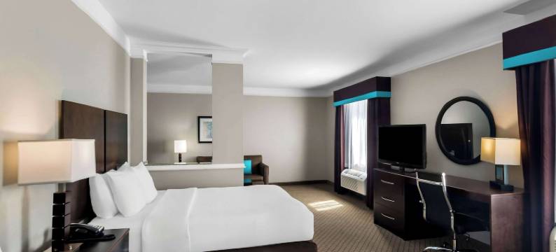 卡蒂舒适套房酒店(Comfort Suites at Katy Mills)图片