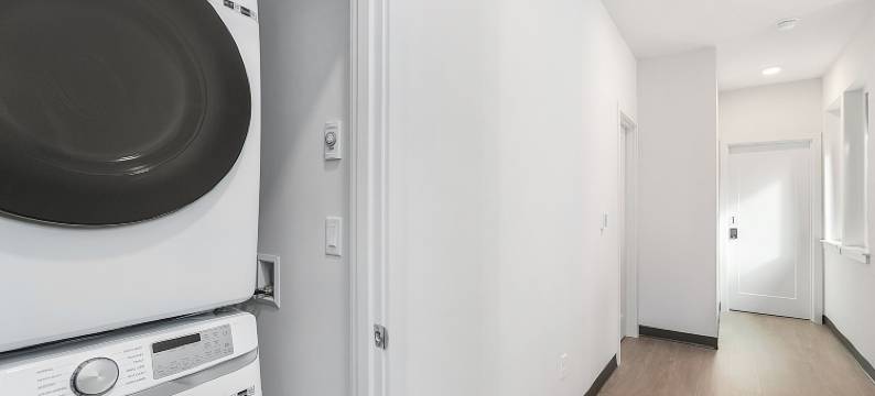 尤达的沼泽套房(Yoda's Swamp Suite)图片