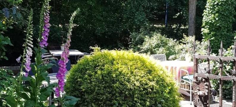 帕斯博格酒店(Burghotel Pass)图片