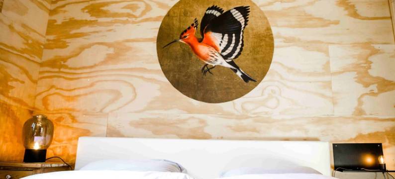 水屋里德维克(Waterlodge Reade Wikel)图片