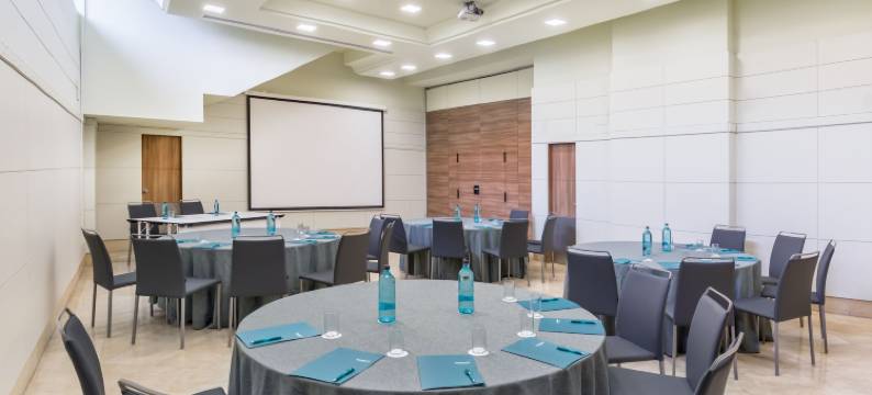 西方塞维利亚维亚波尔-巴塞罗酒店(Occidental Sevilla Viapol)图片