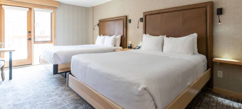 穆斯套房酒店(Moose Hotel and Suites)图片