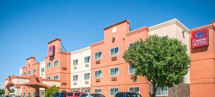 阿尔伯克基北气球嘉年华公园舒适套房酒店(Comfort Suites Albuquerque-North Journal Center)图片