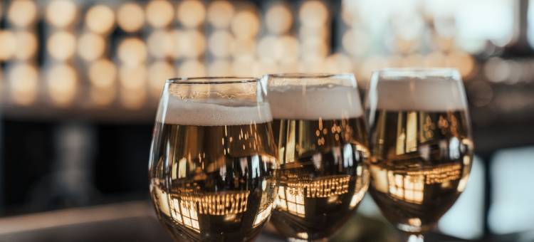 乌普萨拉植物酒店(Botanika Uppsala)图片