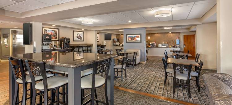 维斯塔峰贝斯特韦斯特优质套房酒店(Best Western Plus Peak Vista Inn  Suites)图片