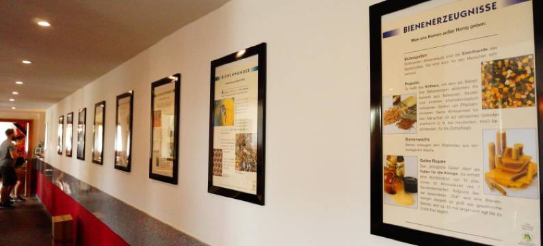 艾姆迪安帕克酒店(Hotel am Tierpark)图片