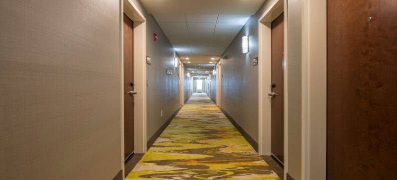 希尔顿欢朋酒店-韦恩斯伯勒(Hampton Inn Waynesboro)图片