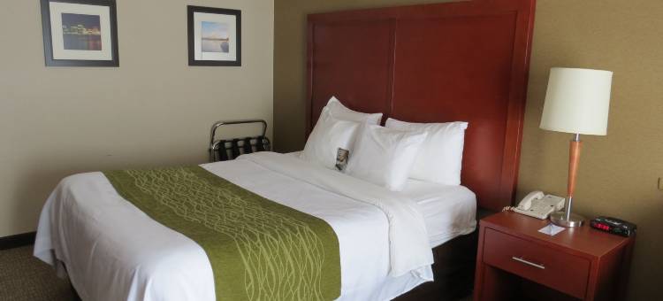舒适酒店(Comfort Inn Dartmouth)图片
