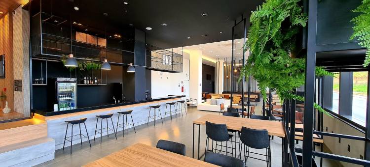 Ibis Nova Serrana图片