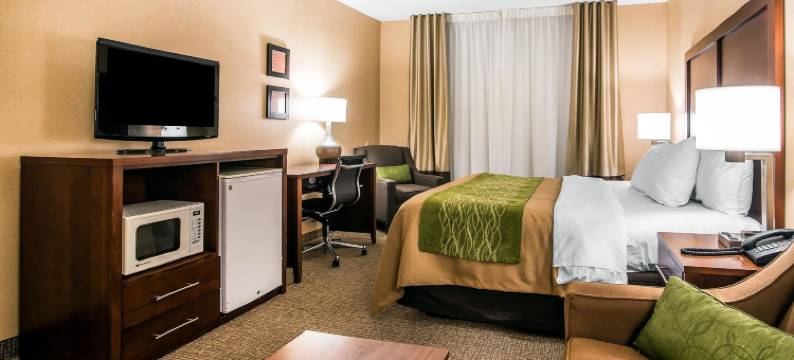 凯艺套房酒店(Quality Inn & Suites)图片