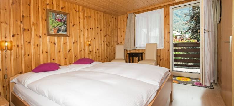 阿尔皮纳酒店(Hotel Alpina)图片