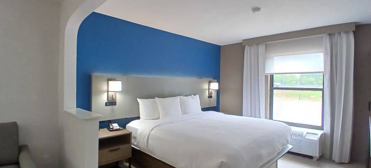 舒适酒店(Comfort Inn Near Downtown & Blue Ridge Pkwy)图片