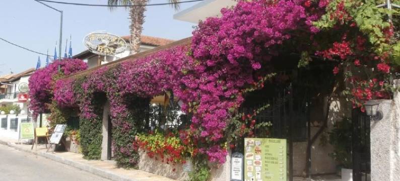 Harrys bar & apartments(哈里酒吧和公寓)(Harry's Bar & Apartments)图片