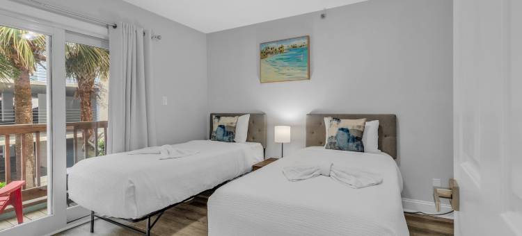 岛屿棕榈(Island palms)图片