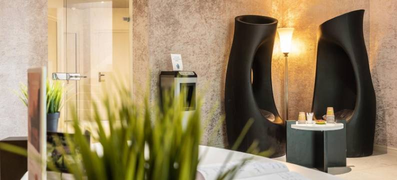 维勒尔地区和Spa酒店(Domaine de Villers & Spa)图片