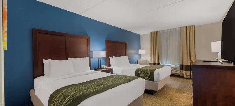 纽波特纽斯-汉普顿I-64舒适酒店(Comfort Inn Newport News - Hampton I-64)图片