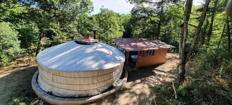 勒皮蒂特博纳尔露营地(Camping le P'Tit Bonheur)图片