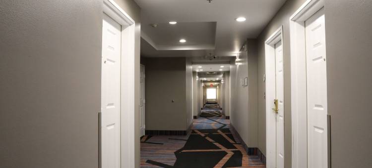 萨尔弗斯普林斯拉昆塔温德姆套房酒店(La Quinta Inn & Suites by Wyndham Sulphur Springs)图片