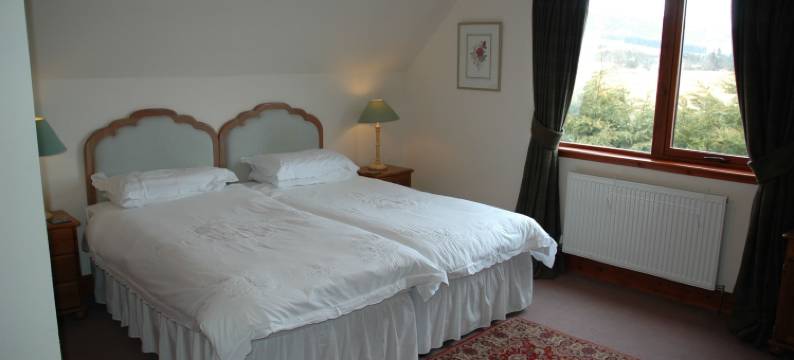 小牧场酒店(The Paddock)图片