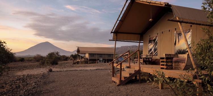 非洲野生动物园湖滨纳特龙酒店(Africa Safari Lake Natron)图片