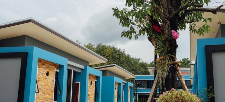 芽庄蓝色兰花度假村(Blue Orchid Resort Trang)图片