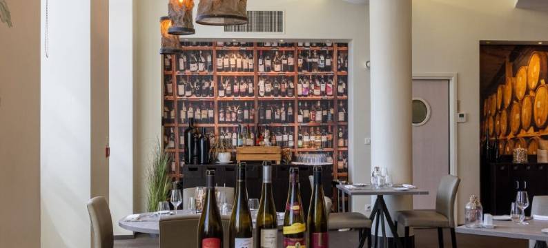 瓦勒-维涅酒店(Hôtel Val-Vignes Colmar Haut-Koenigsbourg, the Originals Relais)图片