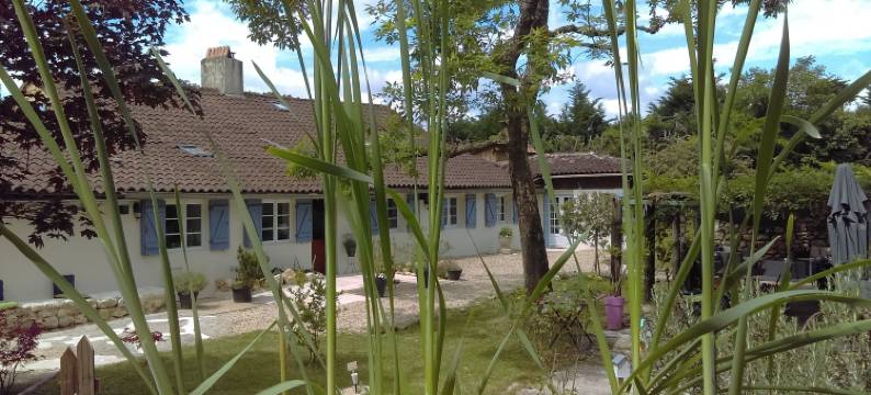 杜尔别墅酒店(Douvilla)图片