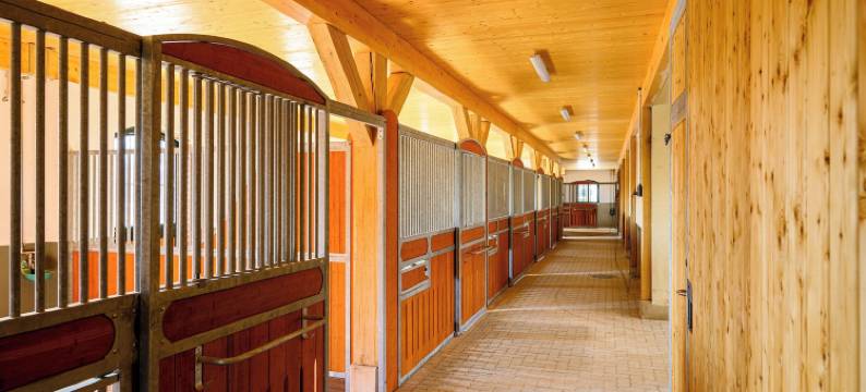 古特伊门霍夫酒店(Hotel Gut Immenhof)图片