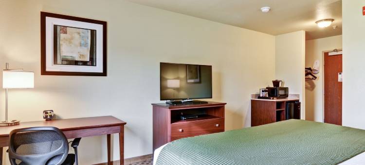鹅卵石套房酒店 - 普拉斯基/绿湾(Cobblestone Hotel & Suites Pulaski/Green Bay)图片