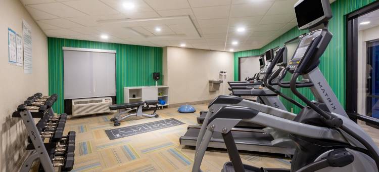 IHG旗下东北(伊利)智选假日酒店及套房(Holiday Inn Express & Suites North East (Erie I-90 Exit 41))图片