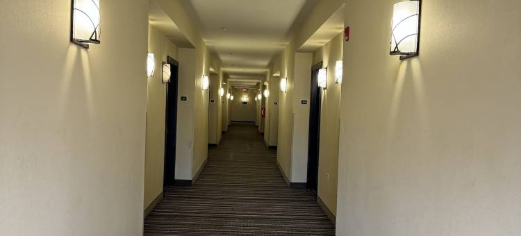 阿布西肯乡村套房(新泽西州大西洋城)(Country Suites Absecon-Atlantic City, NJ)图片