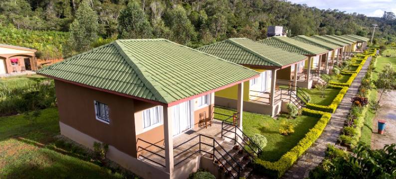 安达西贝狐猴旅馆(Andasibe Lemurs Lodge)图片