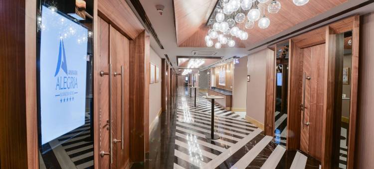 安卡拉Alegria商务酒店(Ankara Alegria Business Hotel)图片